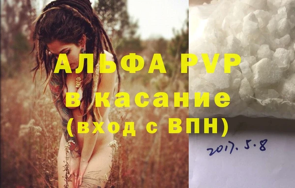 каннабис Белокуриха