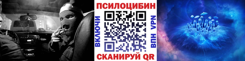 Псилоцибиновые грибы мицелий darknet наркотические препараты Буй